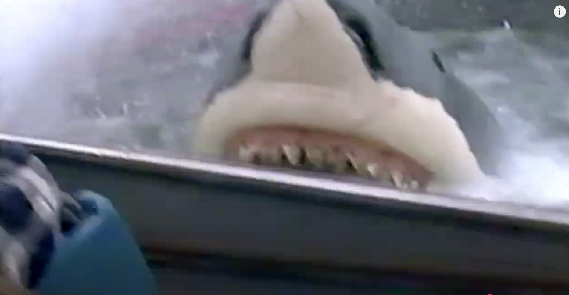jaws ride, universal, stitch and snare
