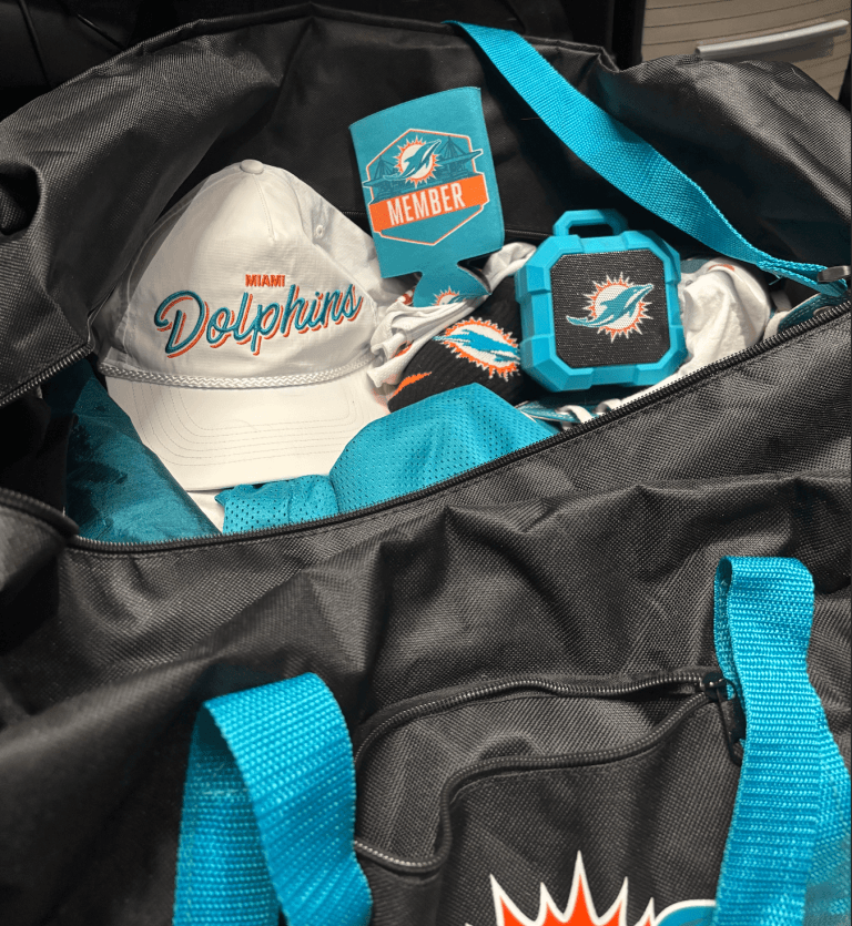 Miami Dolphins Fan blog, stitch and snare